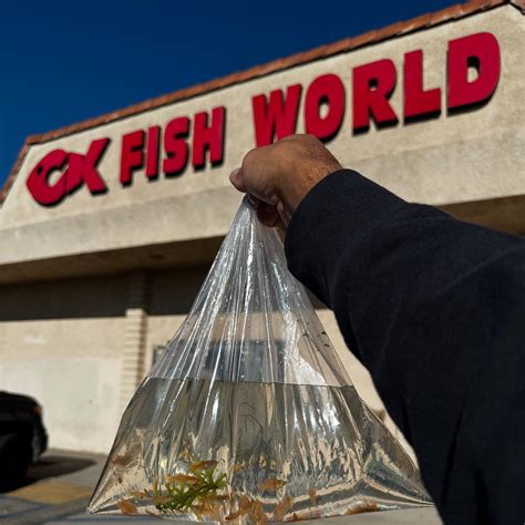 CK FISH WORLD (@ckfishworld) • Instagram photos .